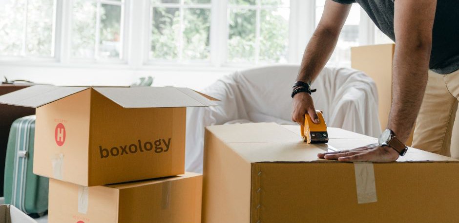 bulk order boxology