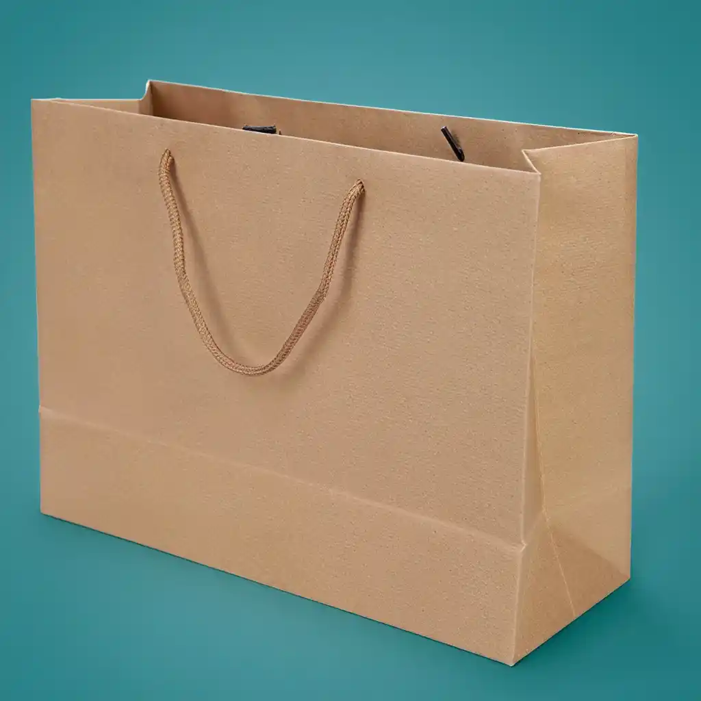custom paper lunch bags